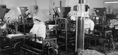История
