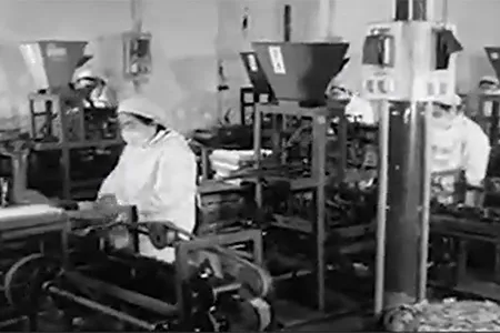 История